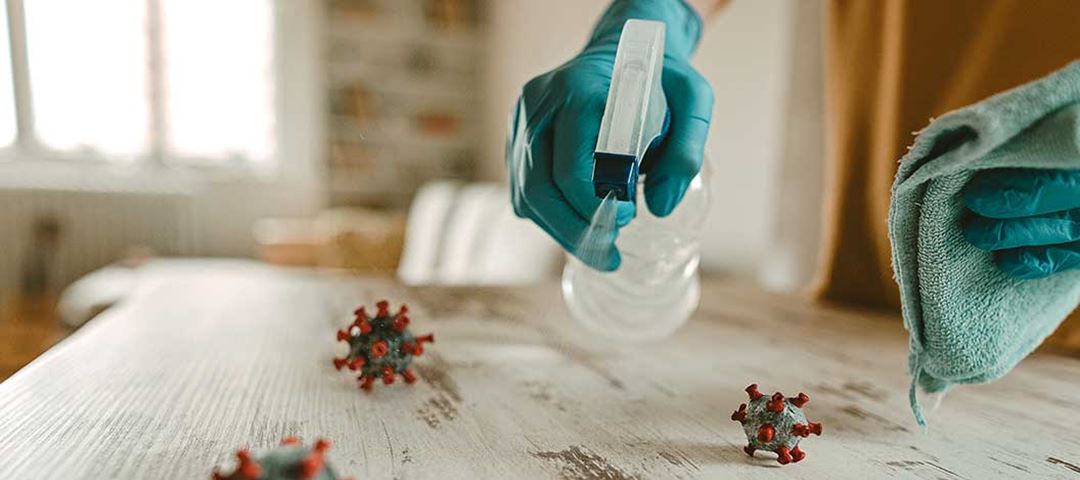 DECO PROTeste Casa - limpar casa doencas infeciosas virus bacterias fungos